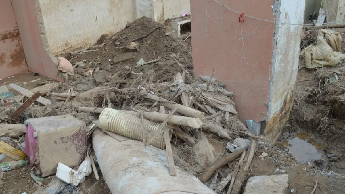 Bursa'da Deprem Risk Analizi: En Tehlikeli Mahalleler Belirlendi