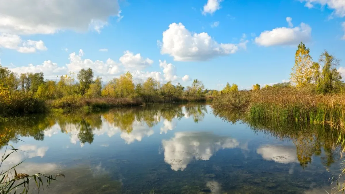 Dicle Nehri'nde bulunan ceset, vergi sorunlarıyla gündeme gelen İdris Usta'ya ait
